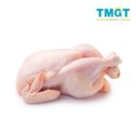 Chicken meat
