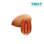 Pecan nut