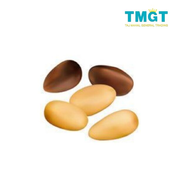 حبوب الصنوبر حبوب الصنوبر