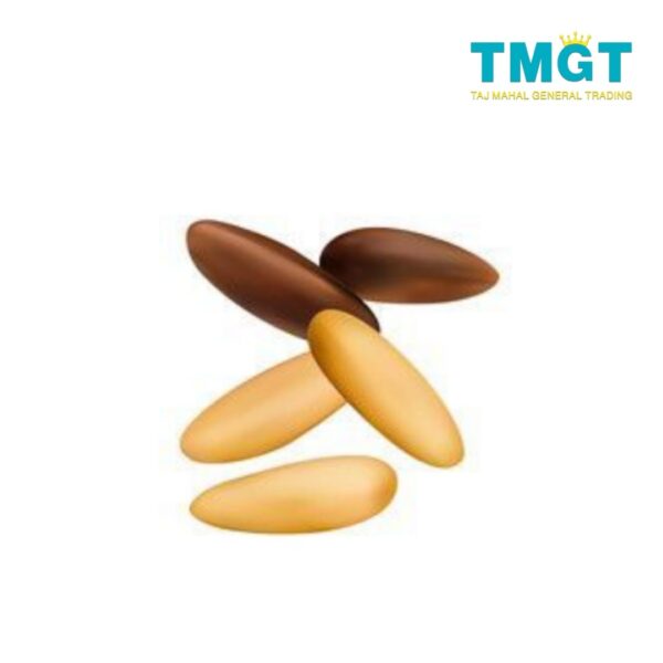 حبوب الصنوبر بالجملة حبوب الصنوبر بالجملة