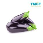 Eggplant