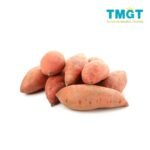 Sweet Potato
