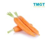Carrot
