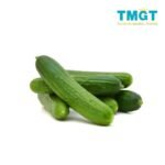 Cucumber