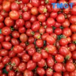 Cherry tomato